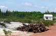 Mặc thêm “áo giáp” cho cao su 